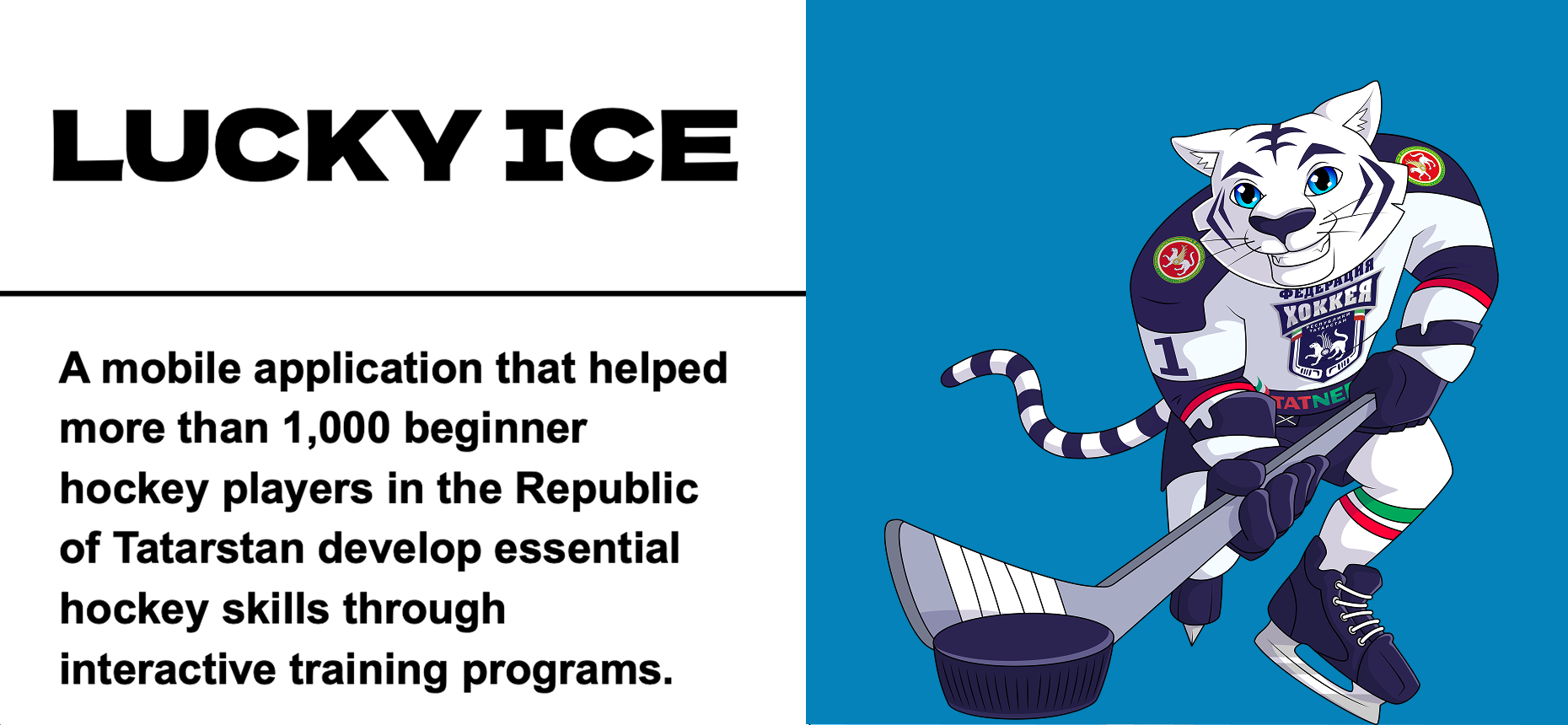 Lucky Ice project slide